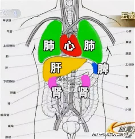 宮商角徵羽心肝脾肺腎 晶球是什麼